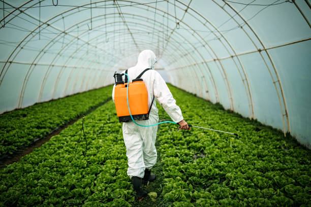 Best Residential Pest Control  in North Bonneville, WA