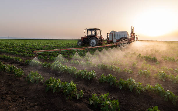 Best Pest Inspection Near Me  in North Bonneville, WA