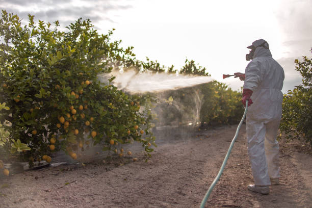 Best Emergency Pest Control  in North Bonneville, WA
