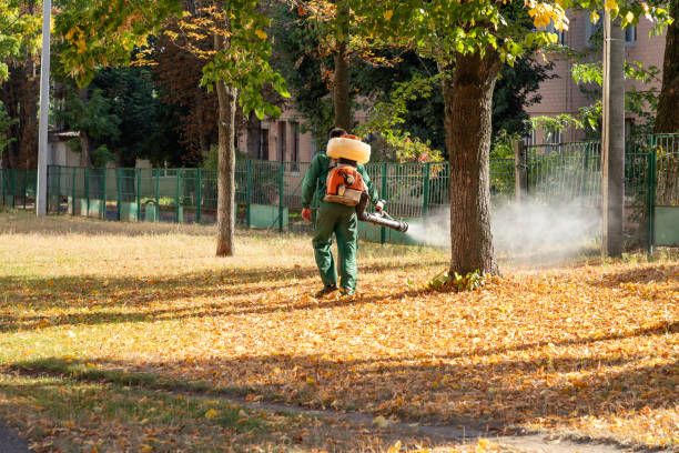 Flea Control Services in North Bonneville, WA