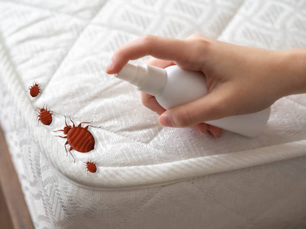 Best Wasp Removal Services  in North Bonneville, WA