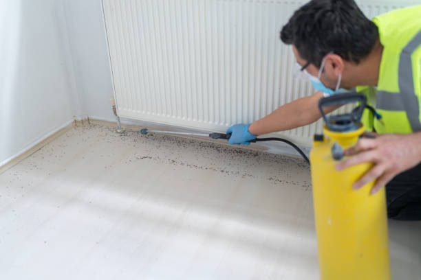 Best Best Pest Control Companies  in North Bonneville, WA