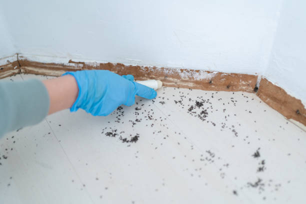 Best Pest Removal Services  in North Bonneville, WA