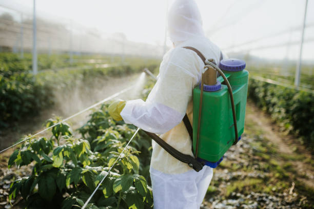 Best Insect Control  in North Bonneville, WA